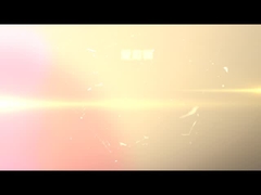 Szlifierka szczotkowa DT1000-6S