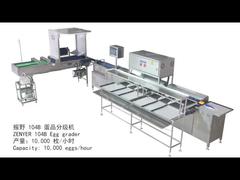 104B egg grading machine