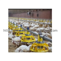 Kontrola środowiska Hodowla zwierząt / Sprzęt do hodowli drobiu Automatyczne karmienie kurczaków