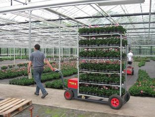 W555mm Ogrodnicze wózki duńskie, 4-słupkowy stojak na rośliny