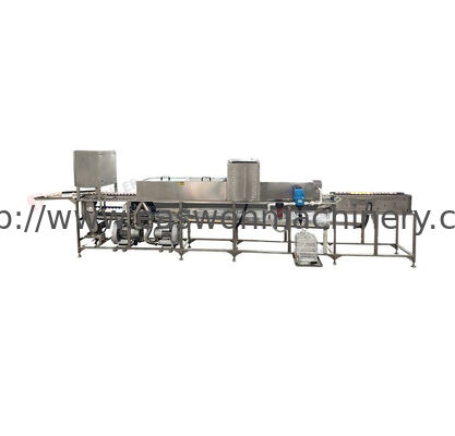 Sanitizer Sprayer Egg Washing Drying Machine With 3000 Eggs/Hour Capacity